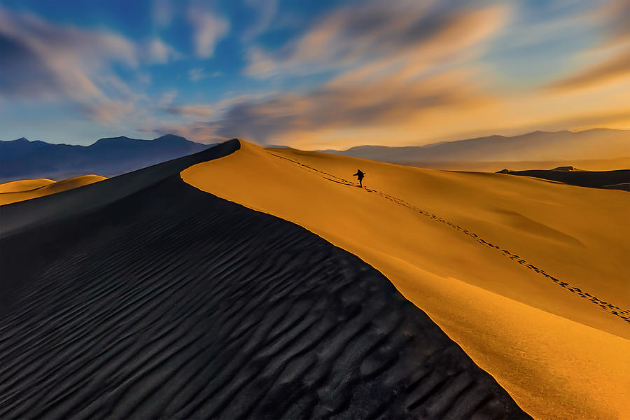 Desert Solo Walker Photograph by Lipinghu