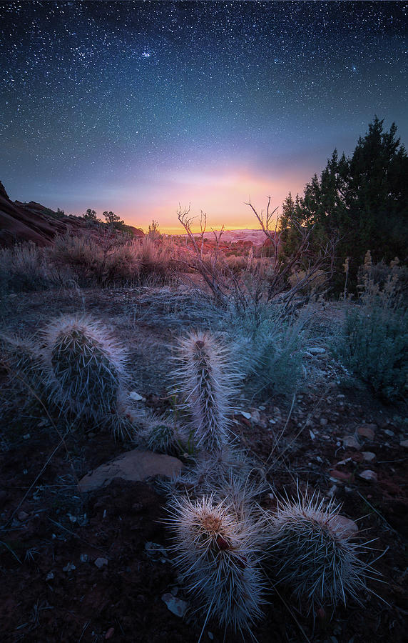 Desert Star Dust / Arizona by Nicholas Parker Desert Star Dust / Arizona by Nicholas Parker