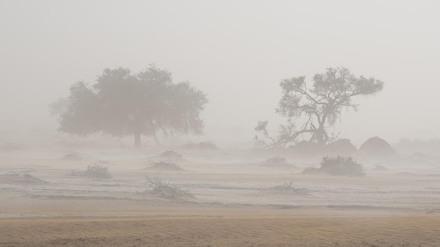 Desert Storm Photograph by Roberto Marchegiani