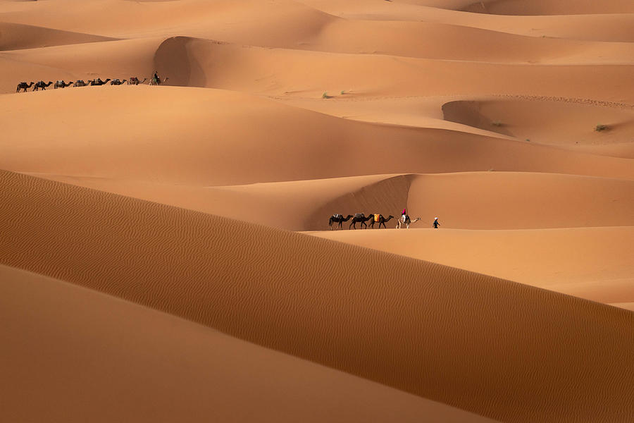 Desert Story Photograph by Andreea Selagea