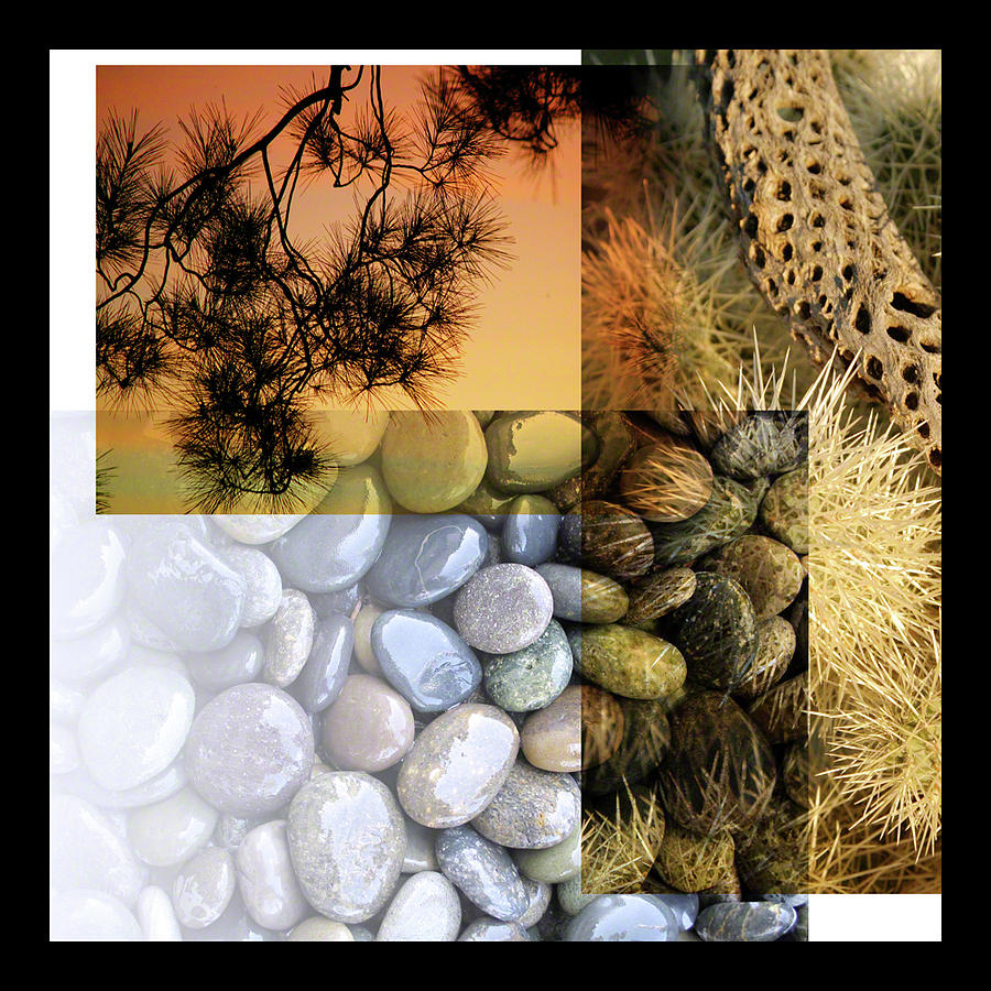 Desert Suite No 1 by Mark Shoolery Desert Suite No 1 by Mark Shoolery