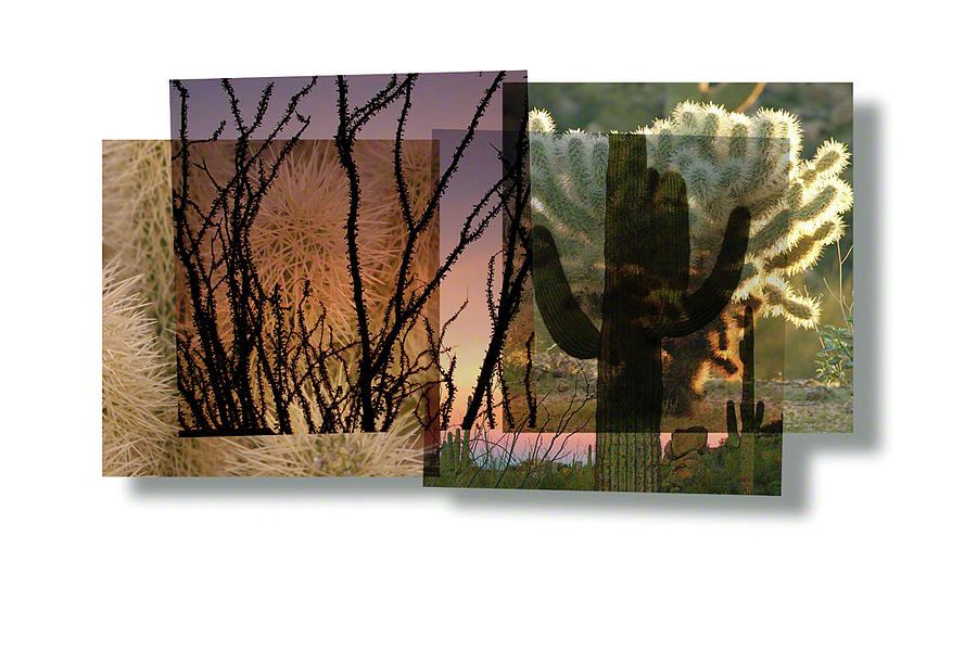 Desert Suite No 3 by Mark Shoolery Desert Suite No 3 by Mark Shoolery