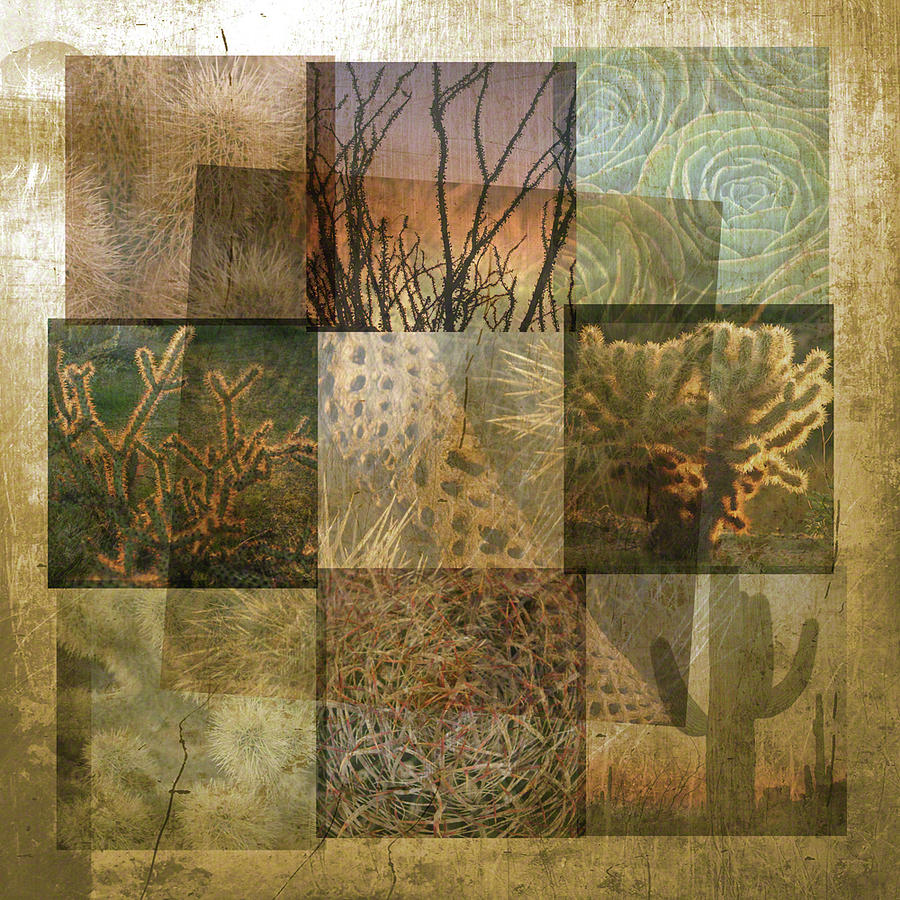 Desert Suite No 4 by Mark Shoolery Desert Suite No 4 by Mark Shoolery