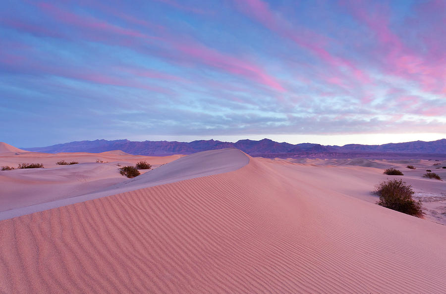 Desert Sunrise Photograph by Kencanning