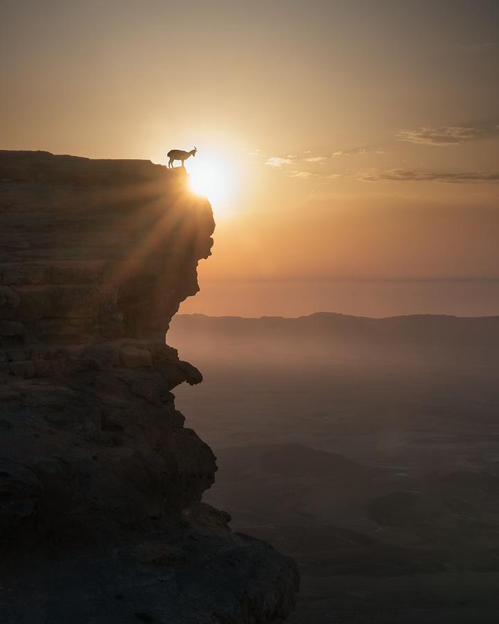 Desert Sunrise Photograph by Nadav Jonas - Fine Art America