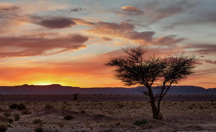 Desert Sunset II by Peter OReilly Desert Sunset II by Peter OReilly