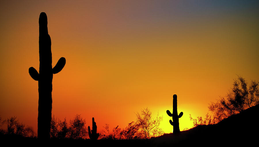 Desert Sunset Photograph by Jonathan Ross - Fine Art America