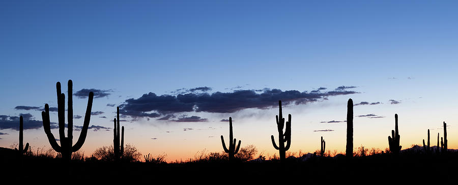 Desert Sunset Panorama Photograph by Kencanning