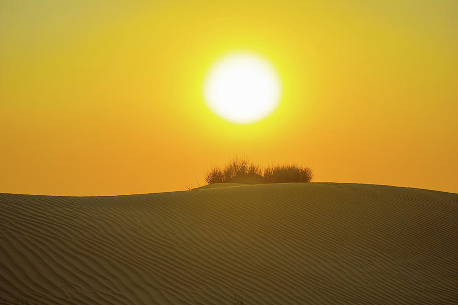 Desert Sunset Photograph by Rocco Silvestri