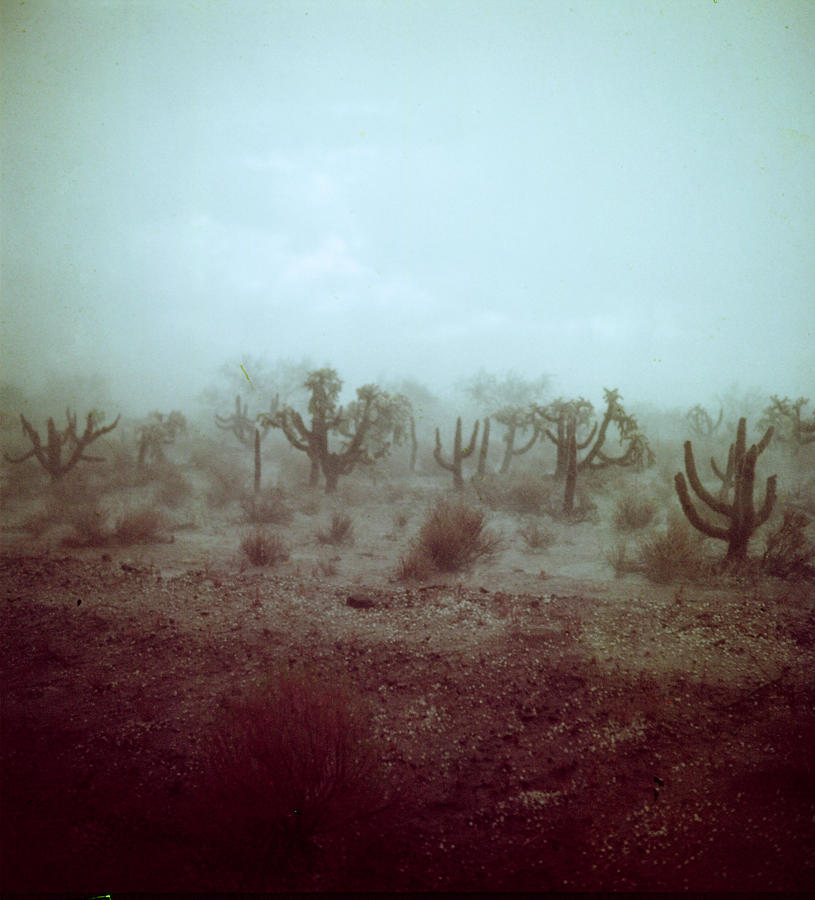 Arizona Photograph - Desert Thunderstorm by Loomis Dean Arizona Photograph - Desert Thunderstorm by Loomis Dean