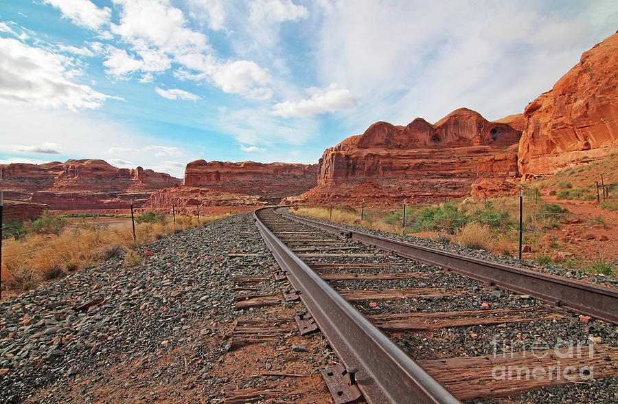 Desert Tracks Photograph by LuxPrism Photography