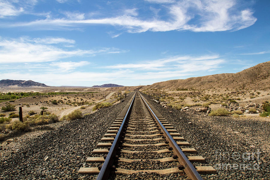 Desert Tracks Photograph by Terry McConnell | Fine Art America