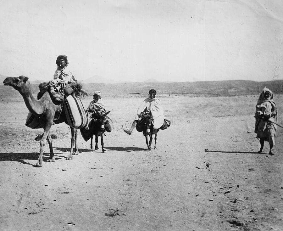 Desert Transport Photograph by Hulton Archive