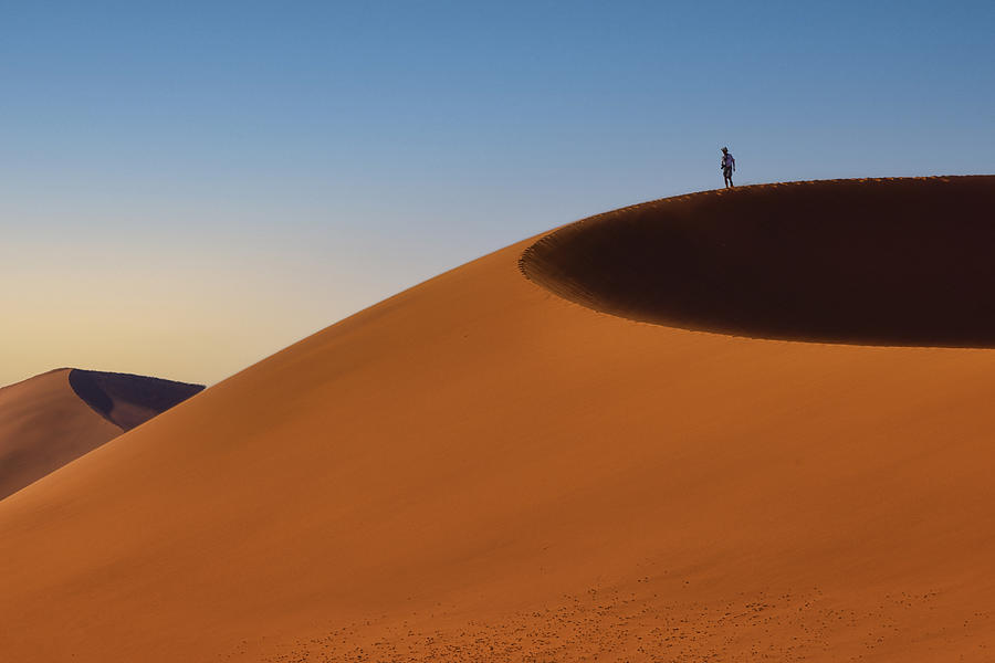 Desert Traveler Photograph by Michael Zheng