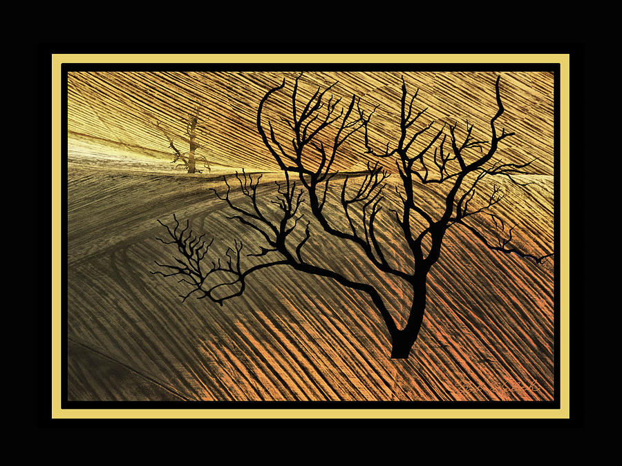 Desert Tree Digital Art by Bob Welch - Fine Art America
