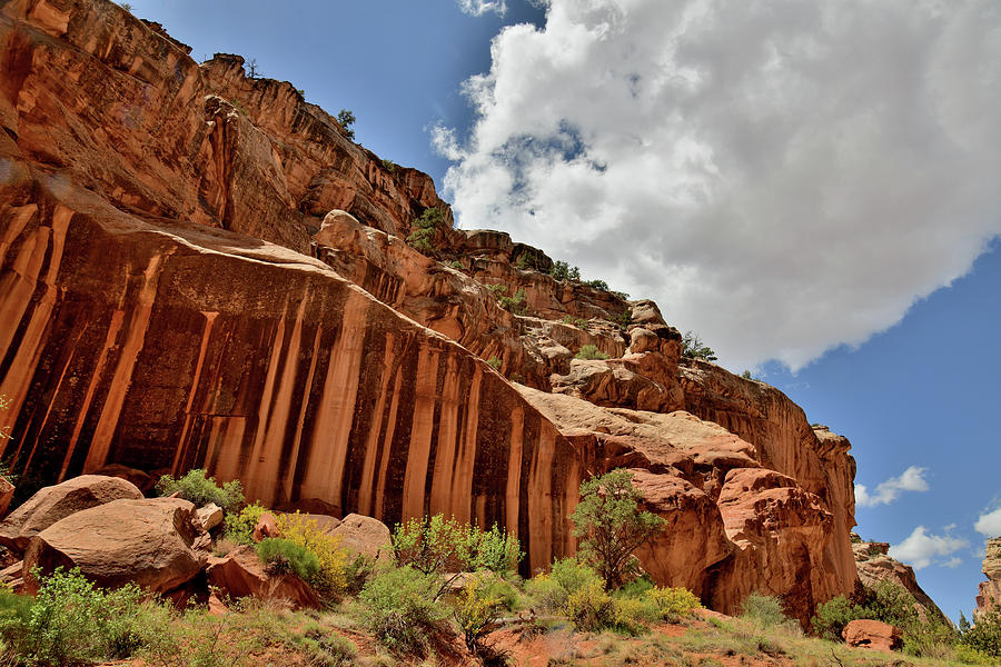 Desert Varnish in Capitol Reef NP Photograph by Ray Mathis