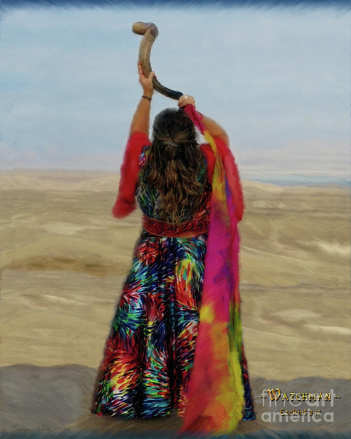 Desert Watchman Digital Art by Constance Woods