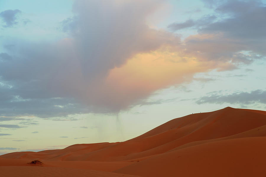 Desert by Yuri San Desert by Yuri San