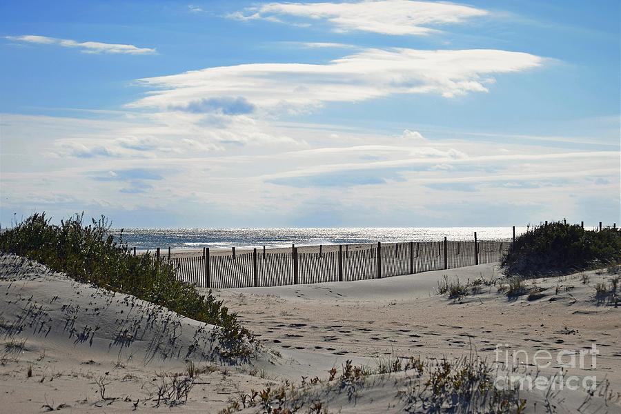 Deserted Beach by Patti Whitten Deserted Beach by Patti Whitten