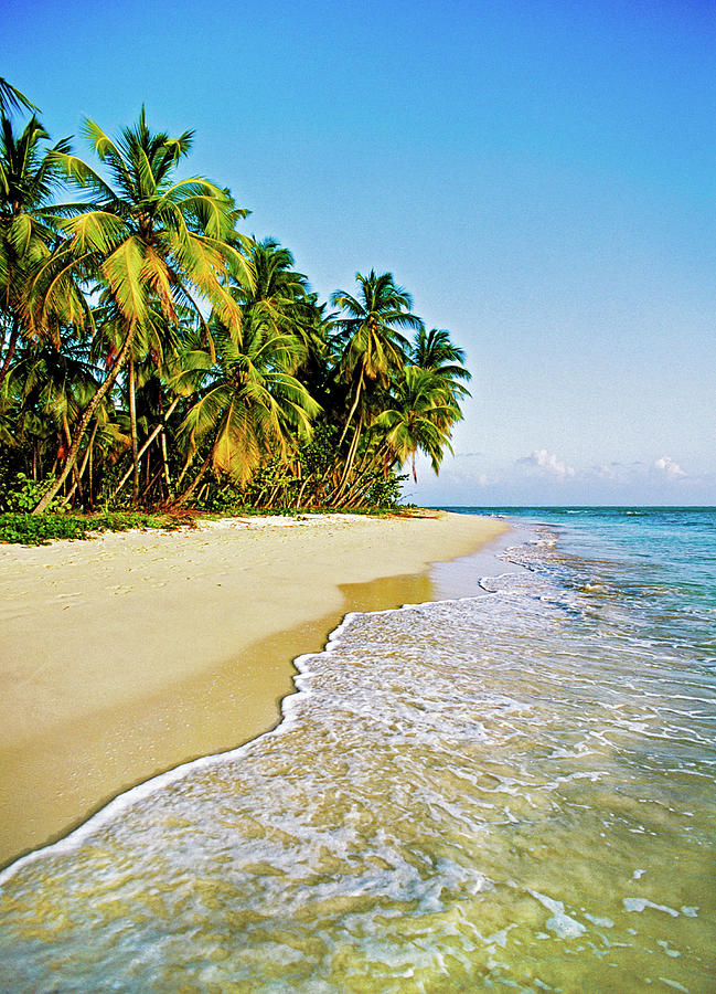 Deserted Tropical Beach Photograph by Doug Armand