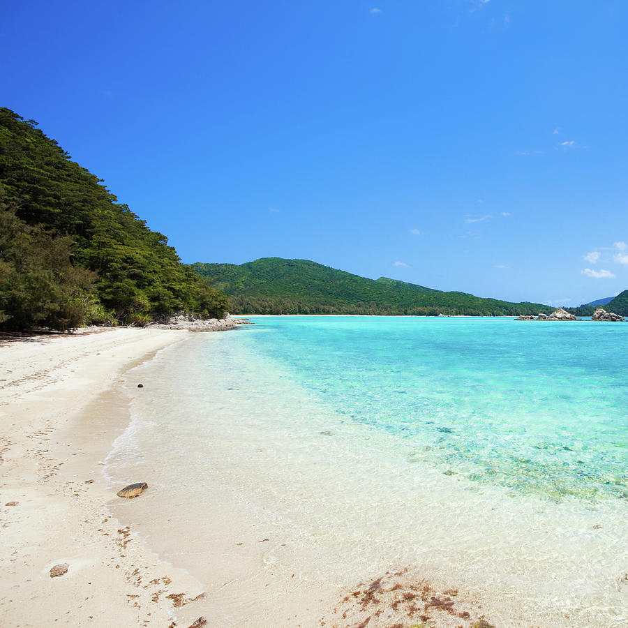 Deserted Tropical Beach With Blue Clear Photograph by Ippei Naoi