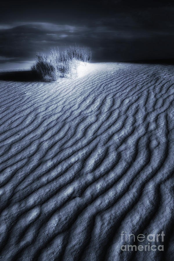 DesertScape One, White Sands, NM Photograph by Mike Nellums - Fine Art ...