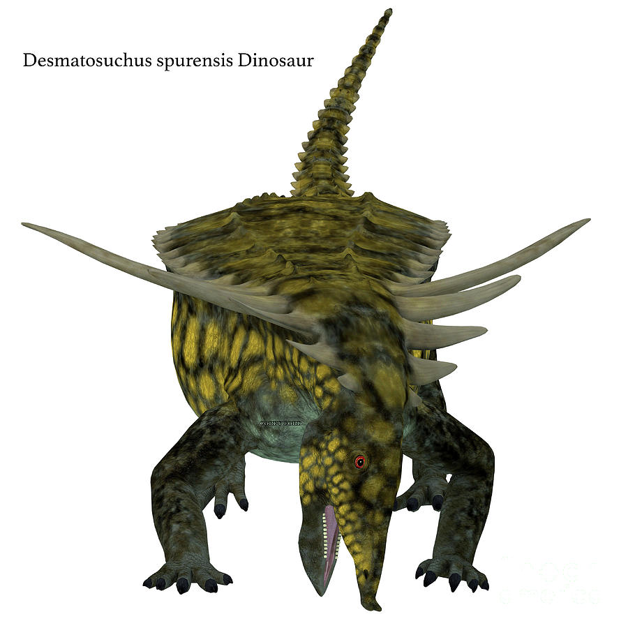Desmatosuchus Dinosaur Front with Font Digital Art by Corey Ford