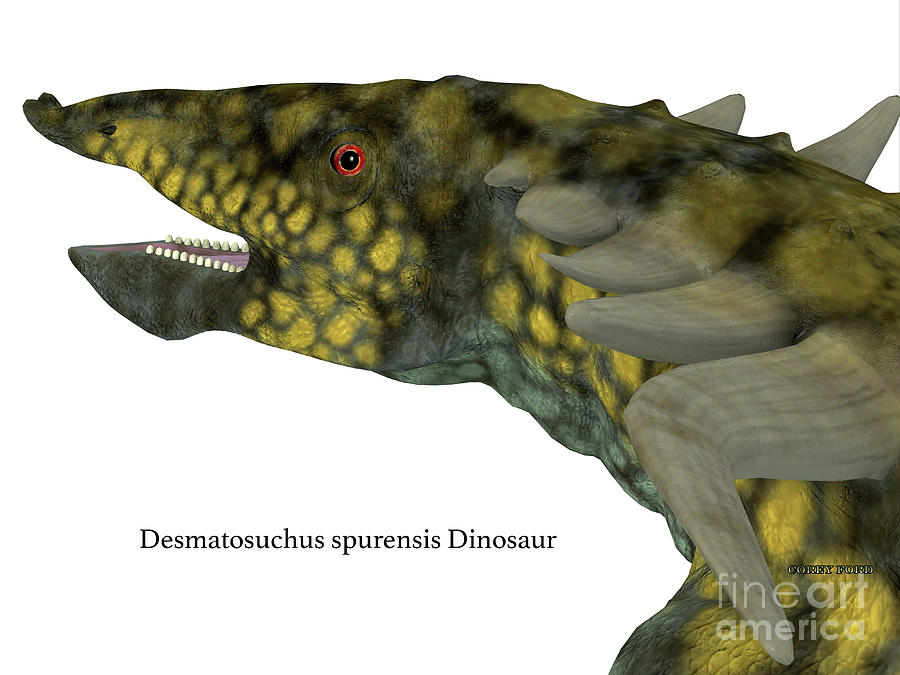 Desmatosuchus Dinosaur Head with Font Digital Art by Corey Ford