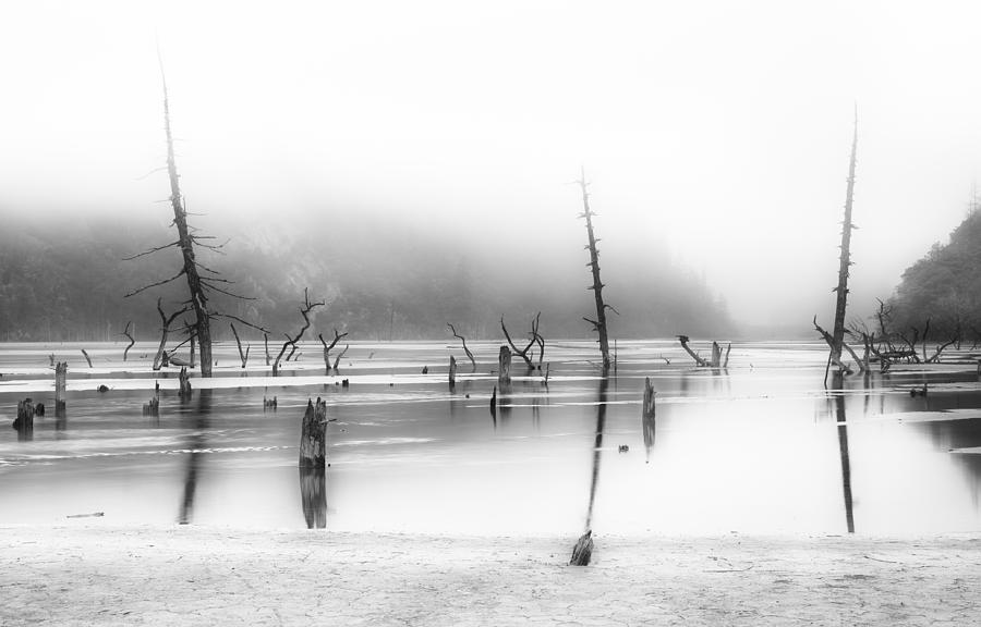 Black And White Photograph - Desolated by Nicolas Marino