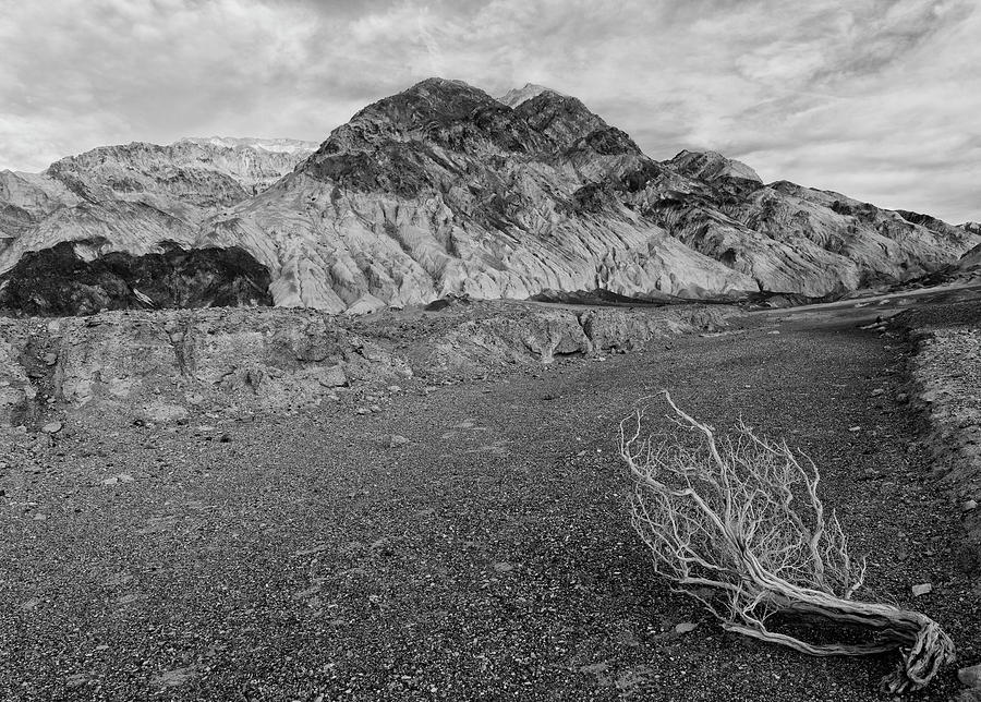 Desolation Canyon - Black and White Photograph by Loree Johnson