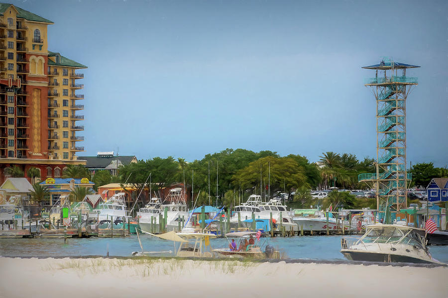 Destin Anyone? Photograph by Tammy Webster - Fine Art America