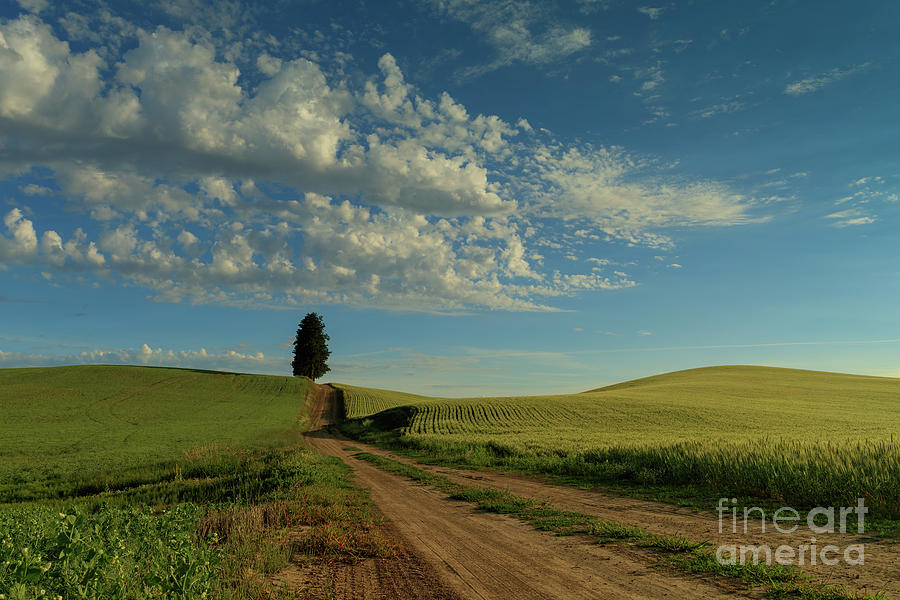 Destination - Wide Open Spaces by Beve Brown-Clark Photography Destination - Wide Open Spaces by Beve Brown-Clark Photography