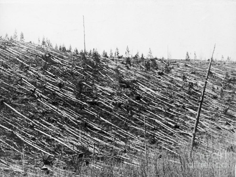 Destroyed Forest From Tungusta Meteor Photograph by Bettmann