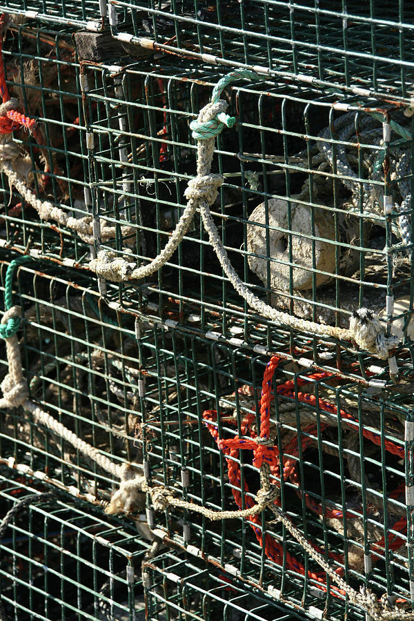 Detail, Lobster traps and floats Photograph by Steve Estvanik