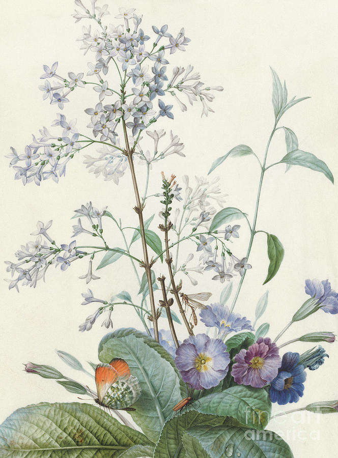 Detail of A Bouquet of Flowers with Insects Painting by Pierre-Joseph Redoute