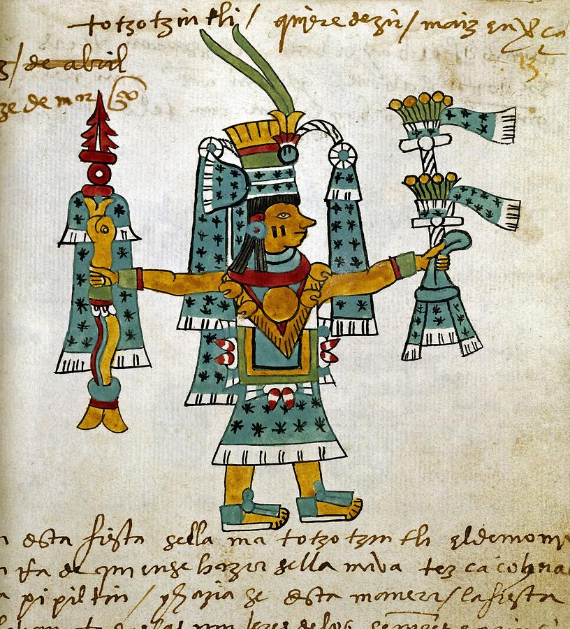 Detail of a page from the Tudela Codex, written by the Aztecs with annotations in Castilian. 1553. Drawing by Album
