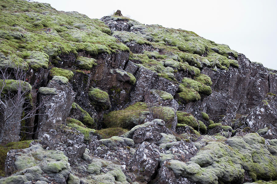 Detail Of A Rocky Cliffs Photograph by Halfdark