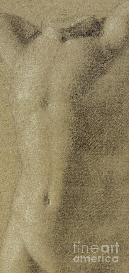 Detail of a Torso of a Young Man Detail, 1800 Pastel by Philipp Otto Runge