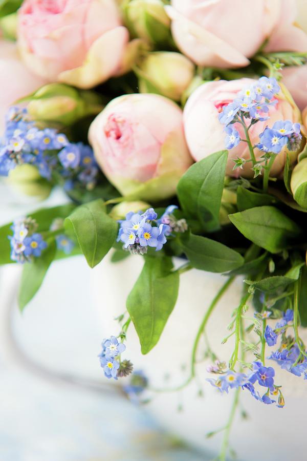 Detail Of Arrangement Of Forget-me-nots And Roses Photograph by Bildhbsch