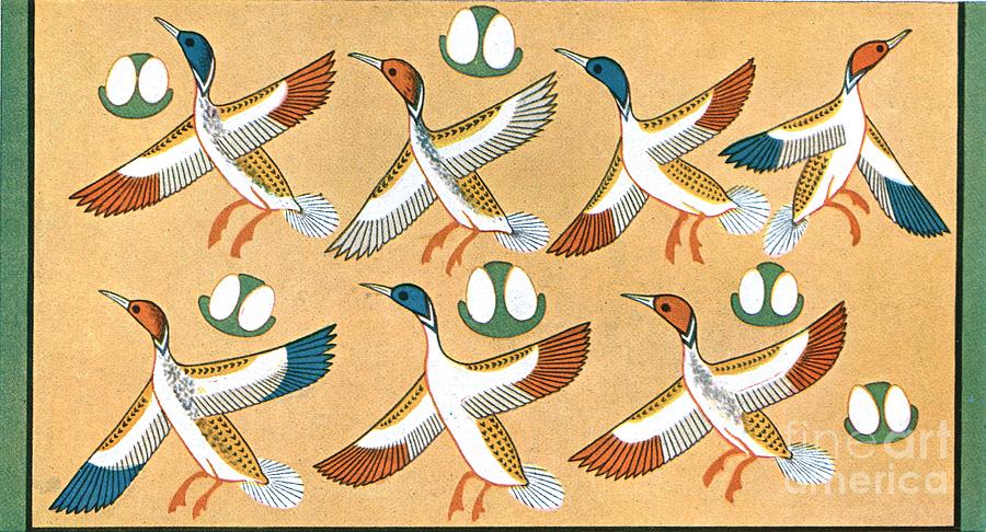 Detail Of Ceiling Painting In The Tomb Drawing by Print Collector Detail Of Ceiling Painting In The Tomb Drawing by Print Collector