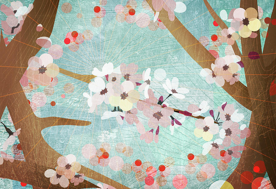 Detail Of Cherry Blossoms Digital Art by Jutta Kuss