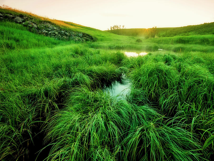 Detail Of Grasses And Stream In Rural Photograph by Ascent Xmedia