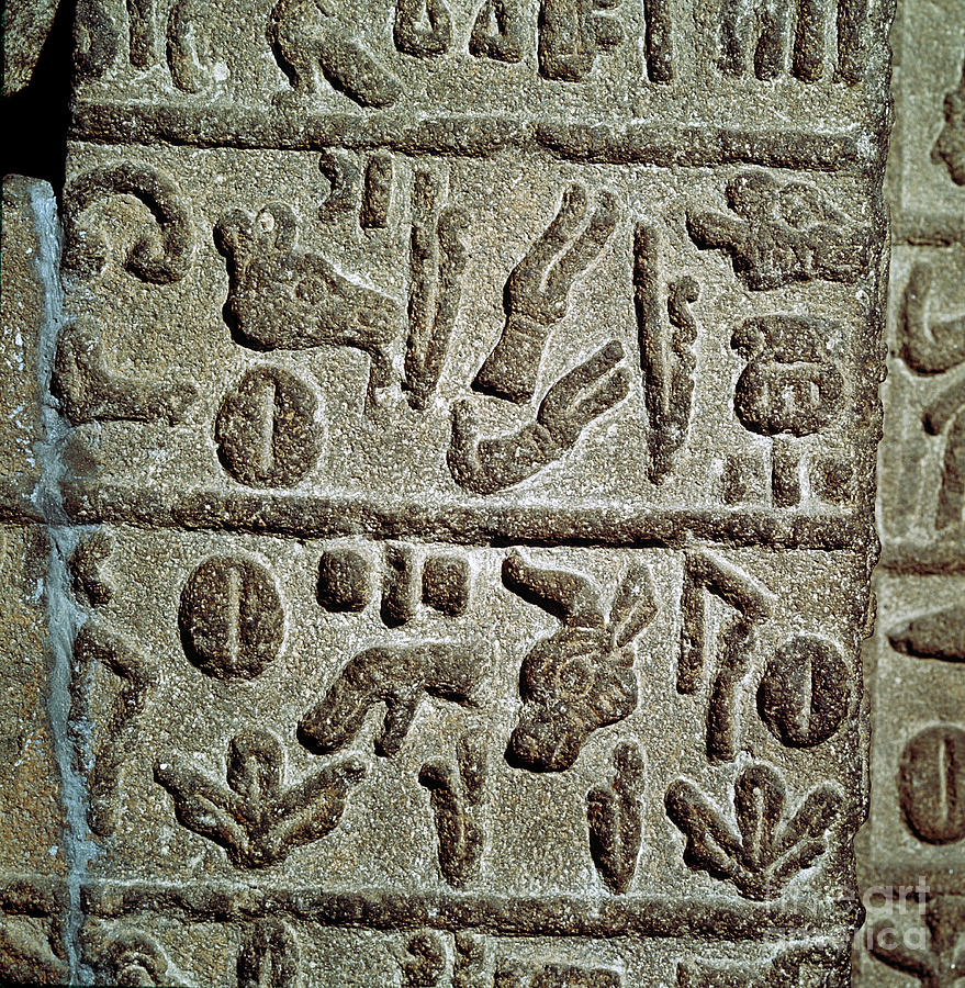 Detail Of Hieroglyphic Inscription Drawing by Print Collector