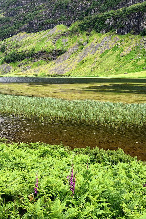 Detail of Loch Achtriochtan on the River Coe in green Glen Coe v Photograph by Reimar Gaertner