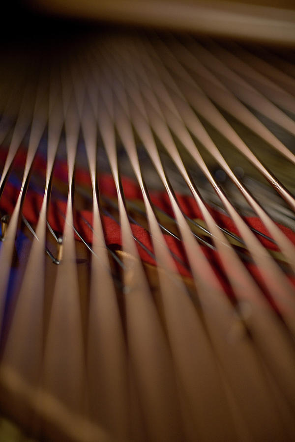 Detail Of Piano Strings Photograph by Christopher Kontoes Detail Of Piano Strings Photograph by Christopher Kontoes