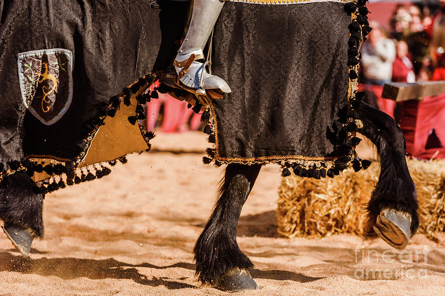Detail of the armor of a knight mounted on horseback during a display at a medieval festival. Photograph by Joaquin Corbalan