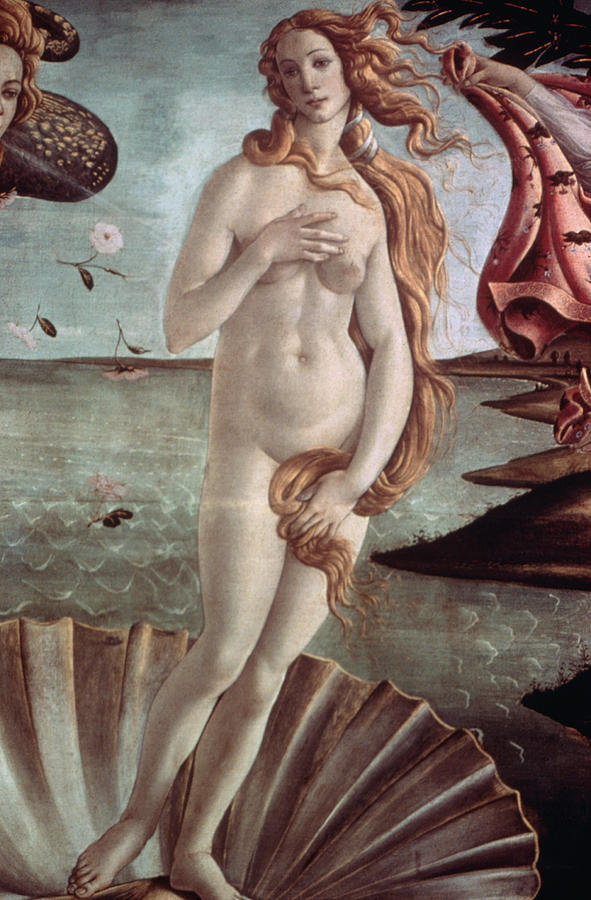 Detail Of The Birth Of Venus By Sandro Photograph by Bettmann