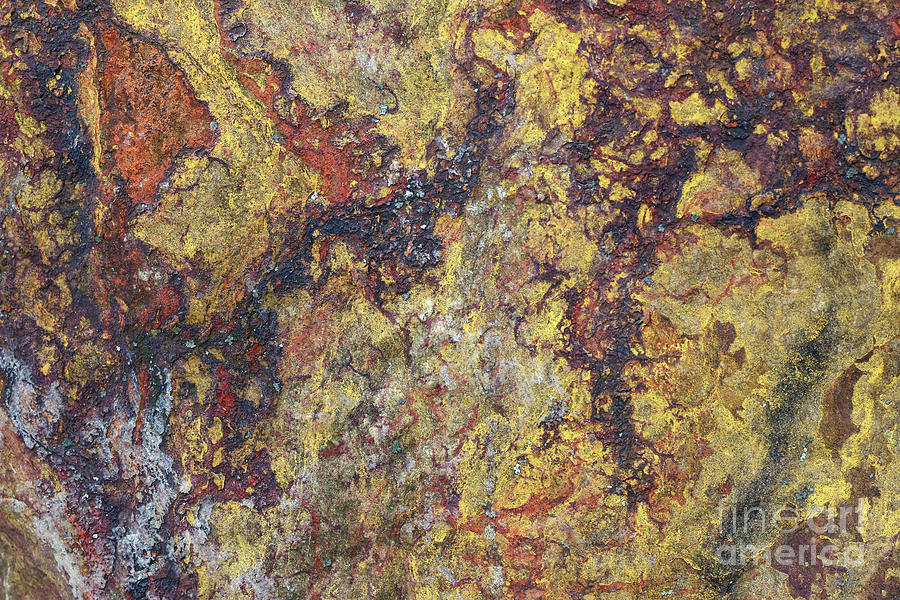 Detail of the surface of the quartz rock Photograph by Michal Boubin