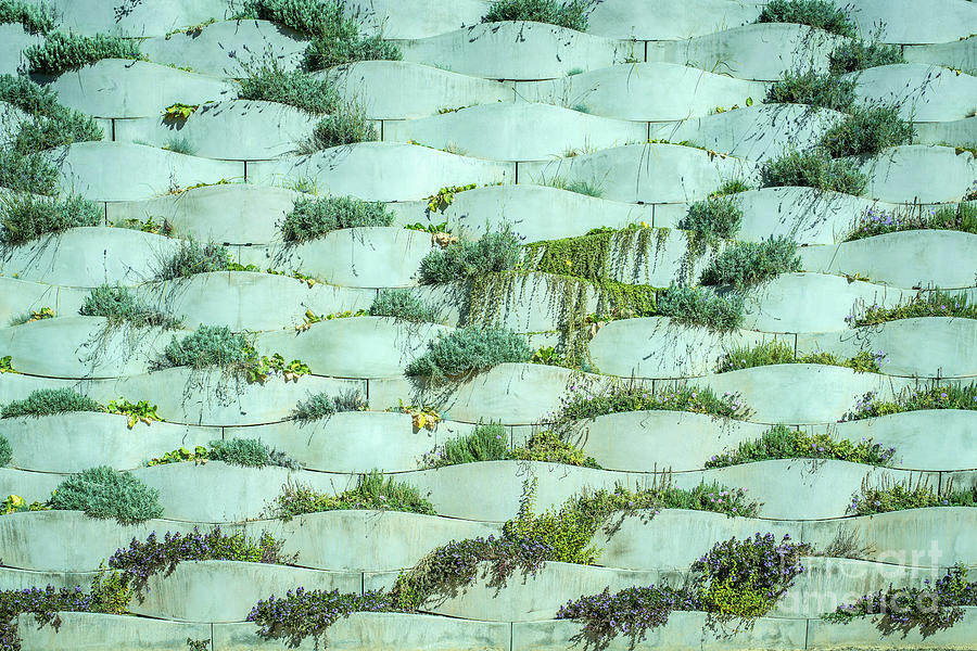 Detail of vertical garden, background with sherds of cement and plants of planted colors. Photograph by Joaquin Corbalan