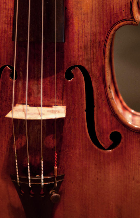 Detail Of Violin Photograph by Grant Faint
